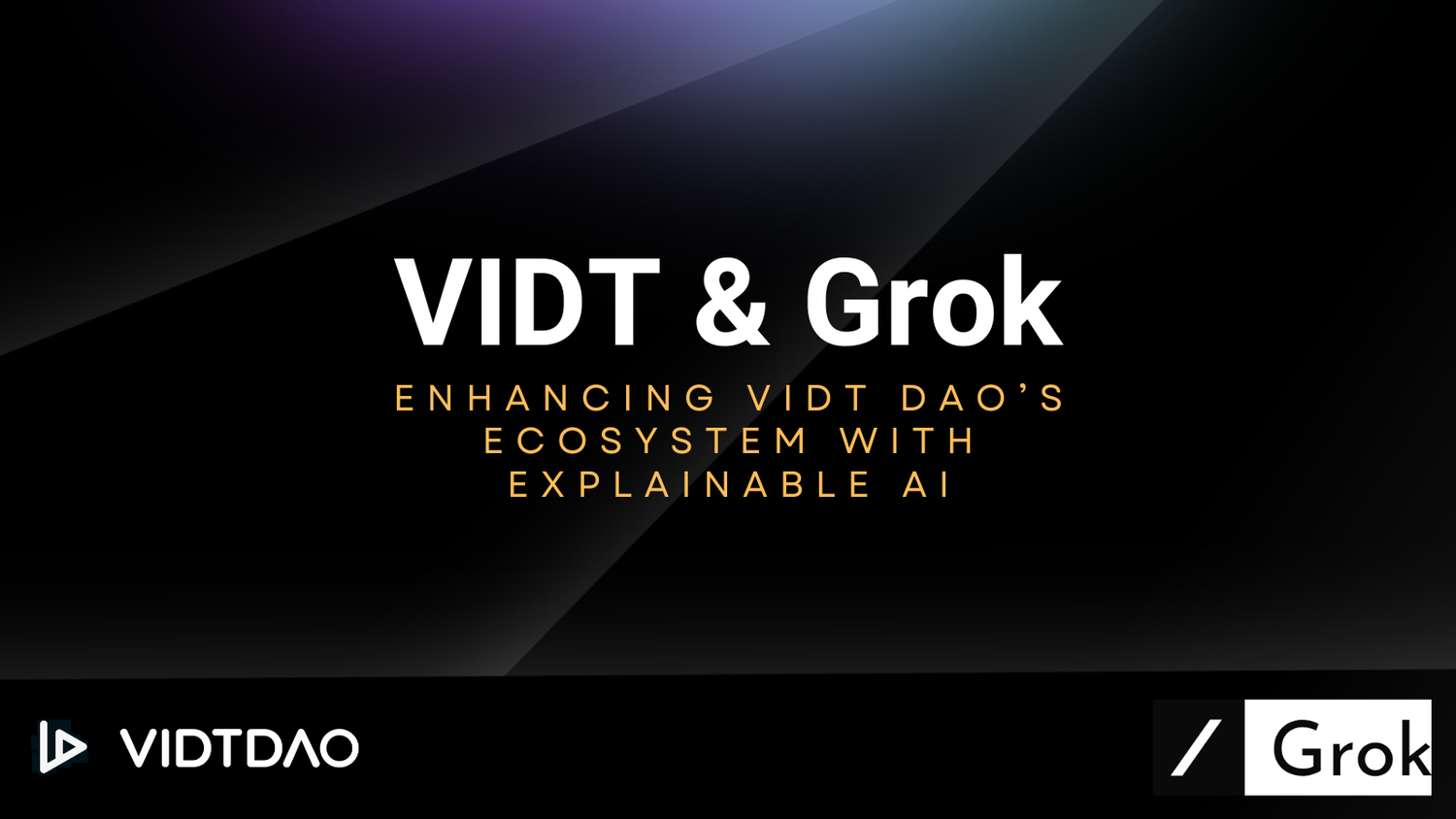 VIDT & Grok 1.png