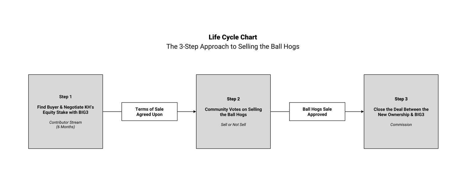 Ball Hogs Sale Life Cycle Chart [Updated 11.19].png