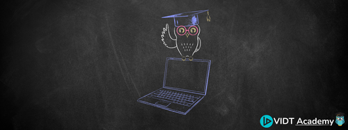 VIDT DAO Academy 2.png
