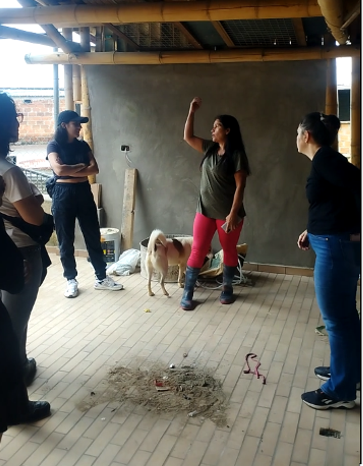 Captura de pantalla_2024-12-08_09-57-41.png