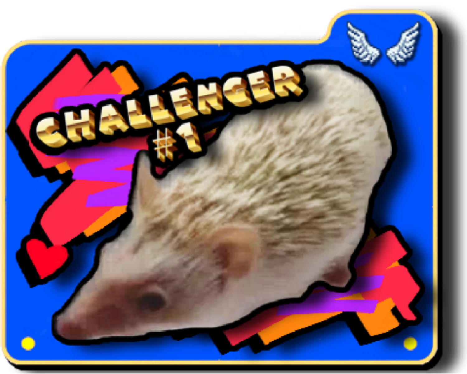 CHALLENGER.png