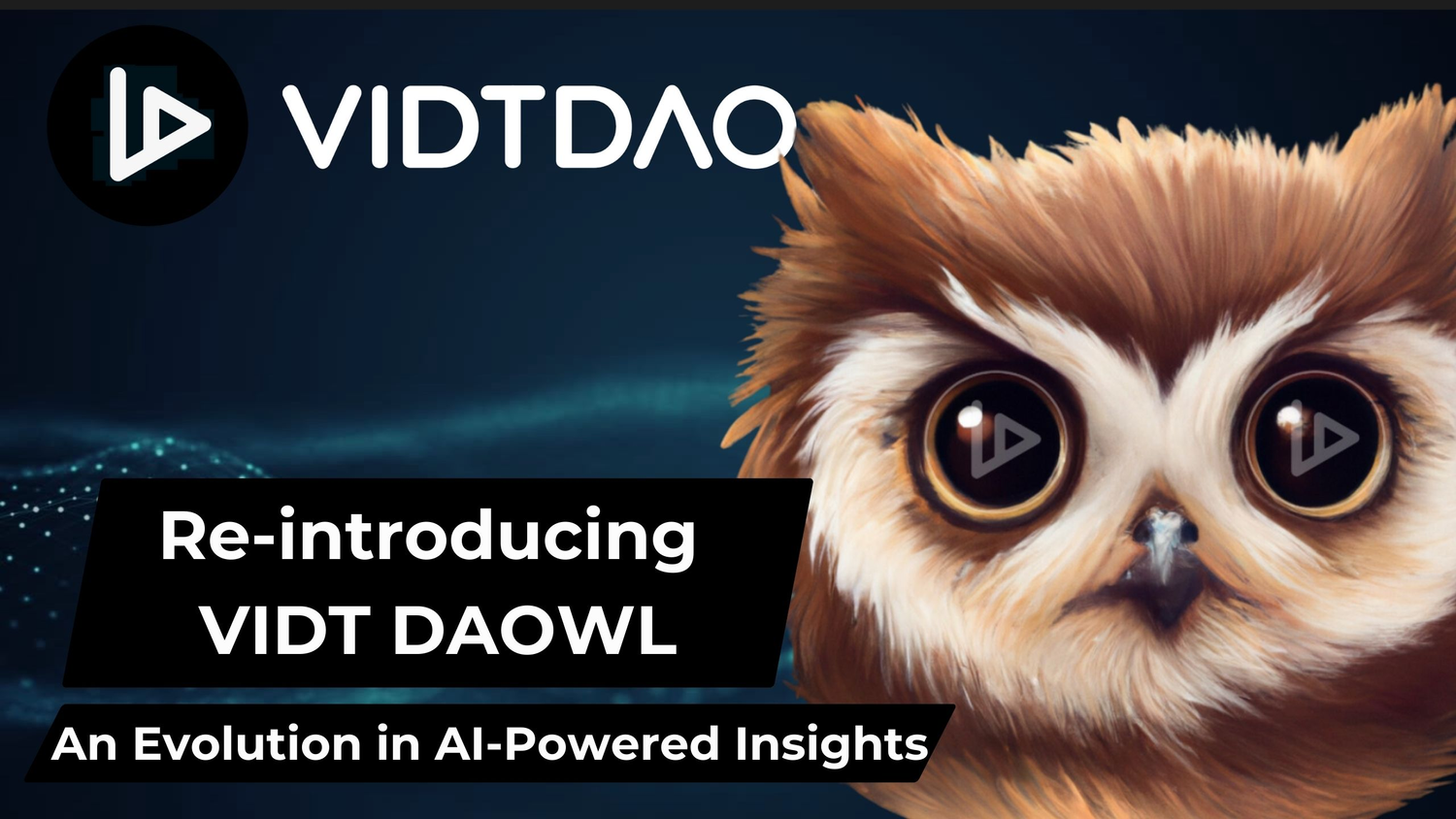DAOWL 1.jpg