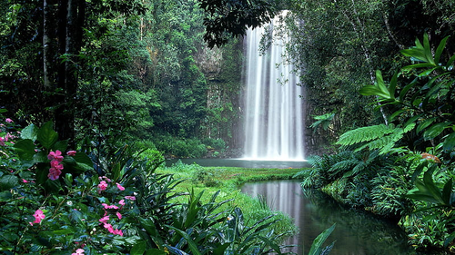 HD-wallpaper-waterfalls-waterfall-amazon-bush-jungle-thicket.jpg